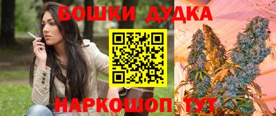 гидра Лесосибирск