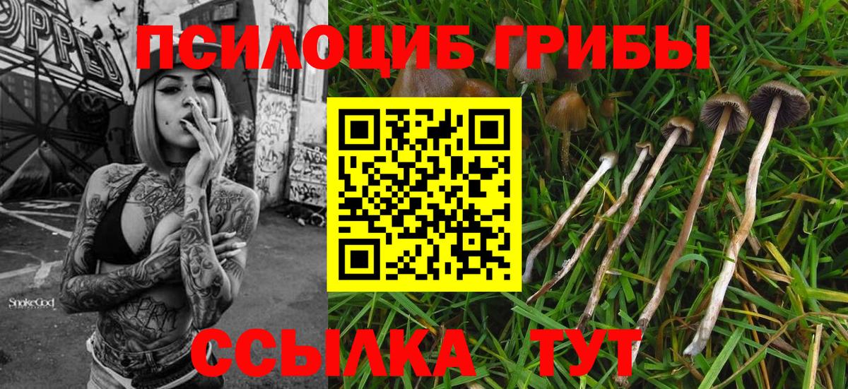 Псилоцибиновые грибы Psilocybe  Псилоцибиновые грибы мухоморы  Йошкар-Ола  Вход с VPN 